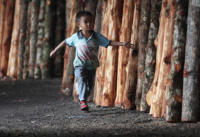 bambino - Kuala Sepetang - 09-12-2009 - Malesia, le industrie di carbone aiutano la foresta di mangrovie