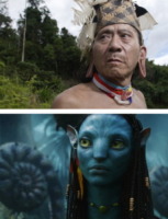 La foresta Sarawak - Sarawak - 27-01-2010 - Malesia: la storia raccontata in Avatar è una triste realtà