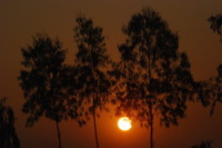 Tramonto in Bangladesh - Bangladesh - 08-02-2010 - Immagini del tramonto in Bangladesh