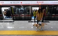 Cani guida in Cina - Shenyang - 02-12-2010 - Quando i cani possono cambiare la vita all'uomo