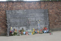 Auschwitz - Auschwitz - 14-09-2008 - La tragedia dell'Olocausto: tanti modi per ricordare