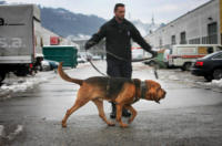Omar Barchi, Joker - Losanna - 15-04-2011 - I cani che hanno cercato Yara ora sono sulla pista di  Alessia e Livia