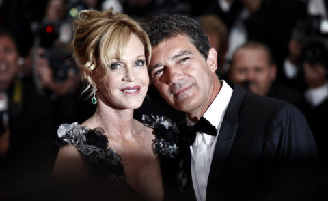 Antonio Banderas, Melanie Griffith - Cannes - 11-05-2011 - Melanie Griffith chiede il divorzio da Antonio Banderas