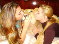 Ariel - 15-07-2011 - La storia di Ariel, il leone che ha commosso la rete