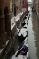 Venezia - Venezia - 12-02-2012 - Gondole imbiancate a Venezia