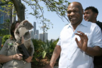 Mike Tyson - Brisbane - 15-11-2012 - Mike Tyson ha paura di un koala