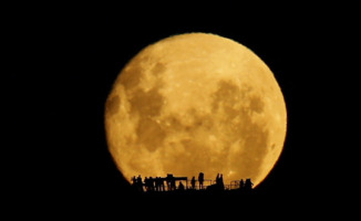 Luna - Wellington - 06-02-2013 - Stregati dalla luna in Nuova Zelanda