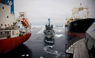 Nisshin Maru, Steve Irwin - 20-02-2013 - Zero Tollerance: la Nisshin Maru sperona la Sea Shepherd