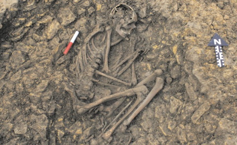 Scheletro dell'età del ferro - 18-11-2013 - Uno scheletro dell'età del ferro ritrovato nel Gloucestershire