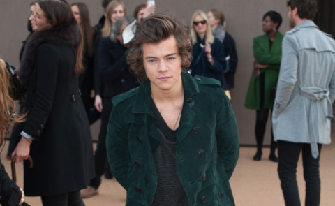 Harry Styles - Londra - 17-02-2014 - London Fashion Week: Harry Styles alla sfilata Burberry Prorsum