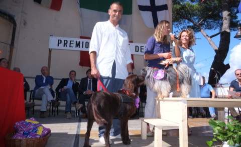 Polpetta, Muffin, Galileo - Camogli - 16-08-2014 - Premio fedeltà del cane: la pet therapy