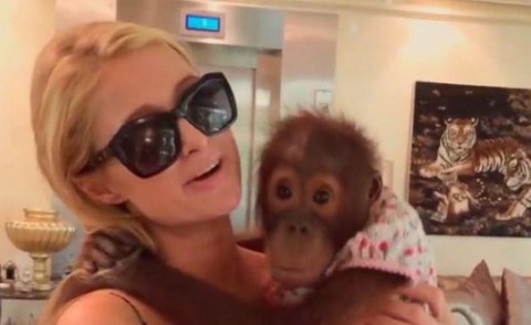 Paris Hilton - Los Angeles - 26-10-2014 - Apre lo zoo per i vip, a ogni celebrities la sua mascotte