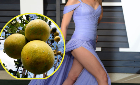 Pompelmo, Kylie Minogue - Beverly Hills - 22-02-2015 - Uova, ghiaccio, omogeneizzati: i segreti di bellezza delle star