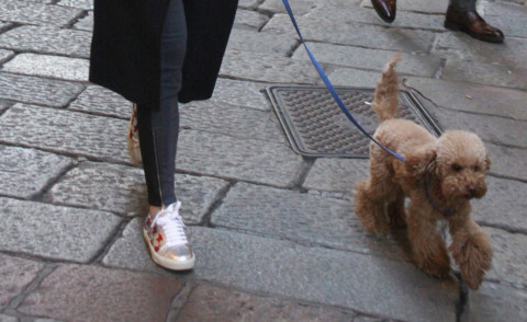 Elena Barolo - Milano - 09-03-2015 - Non si è star senza un cane al proprio fianco