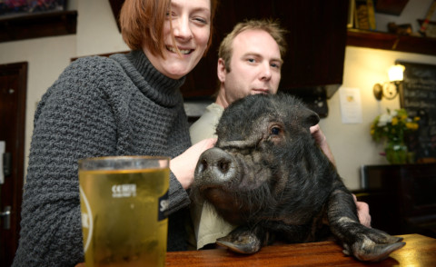 Taylor Ross, Vicky Ross, Frances Bacon - Inghilterra - 19-03-2015 - Frances Bacon: il maialino con l'ubriacatura molesta