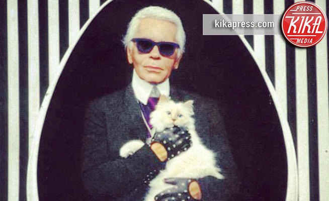 Choupette Lagerfeld, Karl Lagerfeld - Parigi - 03-04-2015 - Karl Lagerfeld, sarà lei a ereditare la fortuna dello stilista