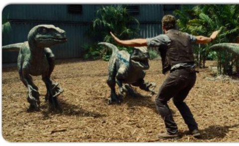 Jurassic World - Los Angeles - 21-06-2015 - Pratt ferma i dinosauri in Jurassic World e diventa virale