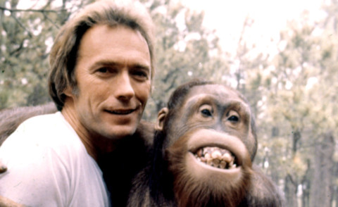 Filo da torcere, Clint Eastwood - Hollywood - 12-01-2007 - Animali star: ecco che fine hanno fatto