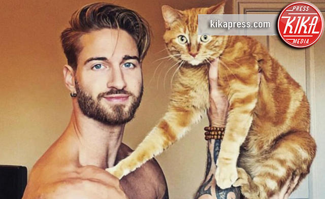 Hot Dudes With Kittens - 13-01-2016 - Web in tilt per l'account Instagram Hot Dudes With Kittens