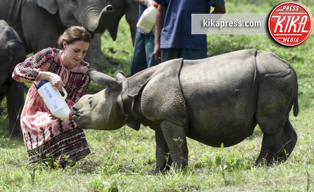 Kate Middleton - Guwahati - 13-04-2016 - Kate e William, a Kaziranga safari con... allattamento!