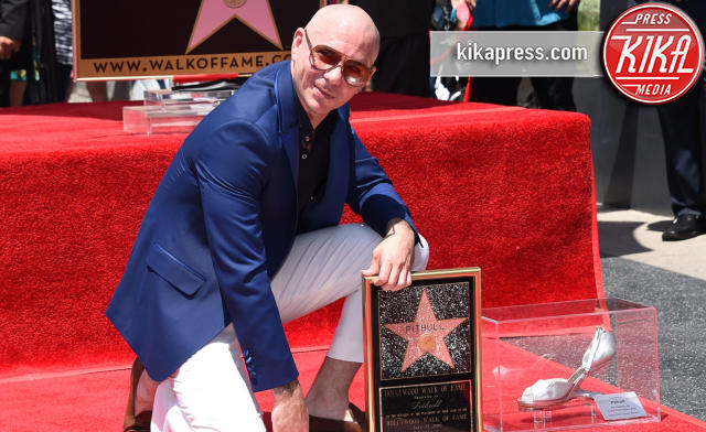 Pitbull - Hollywood - 15-07-2016 - Un Pitbull diventa una stella sulla Walk of Fame (VIDEO)