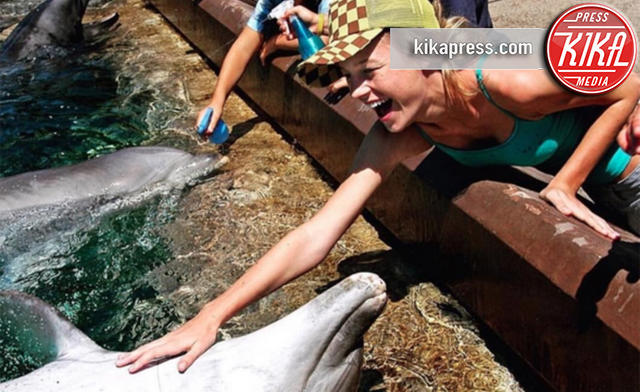 Brie Larson - Los Angeles - 07-09-2016 - Brie Larson chiede scusa per una sua foto con un delfino