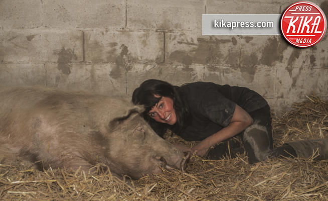 Federica trivelli - vigone - 02-10-2016 - La Piccola Fattoria degli animali che salva i maiali dal macello