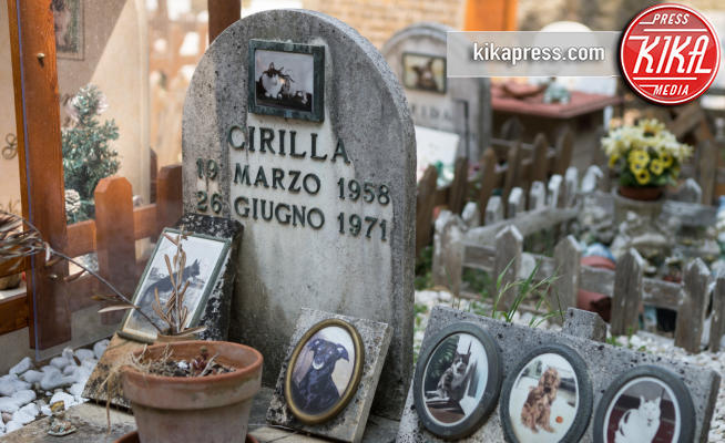 cimitero animali - Roma - 07-05-2016 - Casa Rosa: la casa eterna per animali domestici