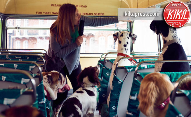 Londra - 13-01-2017 - A Londra arriva il bus per i cani giramondo!