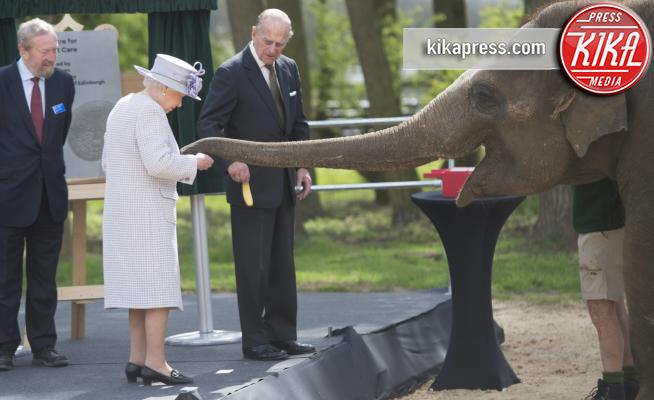 elefantessa Donna, Regina Elisabetta II, Principe Filippo Duca di Edimburgo - Whipsnade - 11-04-2017 - La Regina, il Principe e l'elefante: pranzo a base di banane