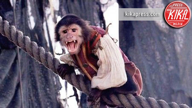 Animali star: per la scimmia Jack è stato un compito ingrato