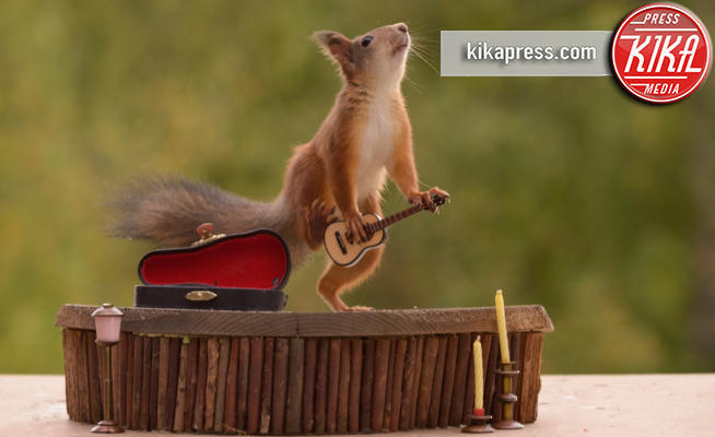 Scoiattoli rock - Bispgarden - 29-11-2017 - Let's Rock! A lezione di musica dagli scoiattoli