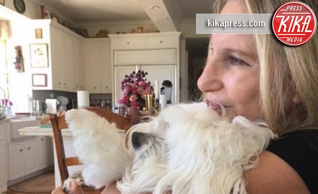 Barbra Streisand - Hollywood - 01-03-2018 - Bizzarrie da star: Barbra Streisand clona il suo cane