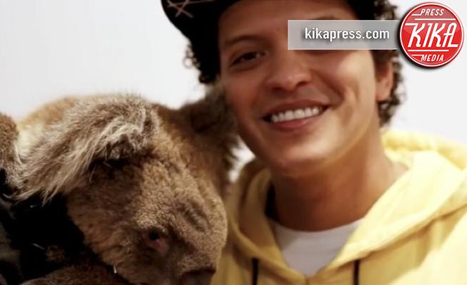 Bruno Mars - Los Angeles - Bruno Mars, il video con un koala che intenerisce i fan