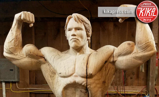 13-06-2018 - Arnold Schwarzenegger e' duro come il legno!