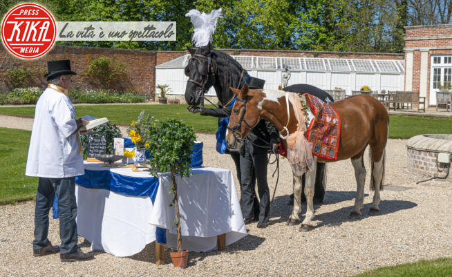 Cavallo Lewis - 14-04-2020 - Matrimoni vietati in tutto il Regno Unito, ma non per i cavalli!