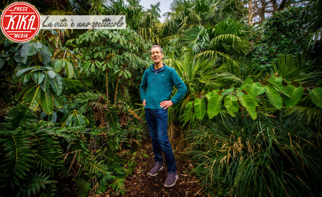 Simon Olpin - Sheffield - 21-02-2021 - La giungla tropicale in giardino...della periferia inglese
