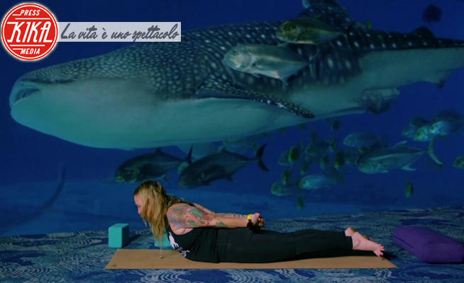Shark Yoga - Atlanta - 24-03-2021 - Relax con brivido? Provate lo Shark Yoga!