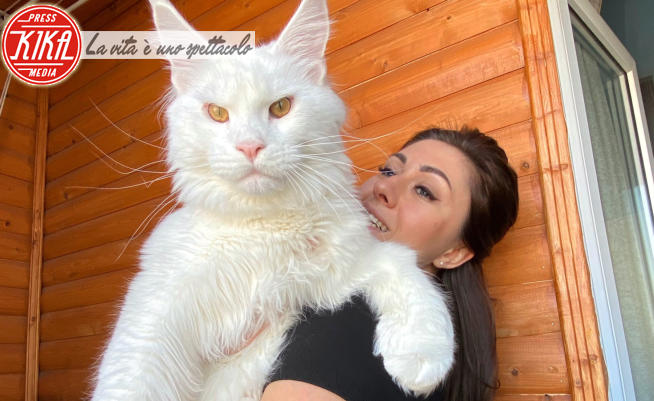 Yulia Minina - 18-01-2022 - Giornata del gatto: Kefir, il gatto più grande al mondo