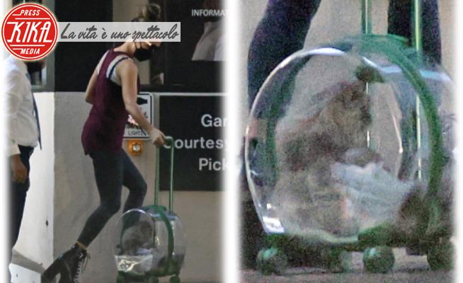 Kate Beckinsale - Los Angeles - 31-08-2022 - Kate Beckinsale e il trolley porta-gatto: sarà un trend?