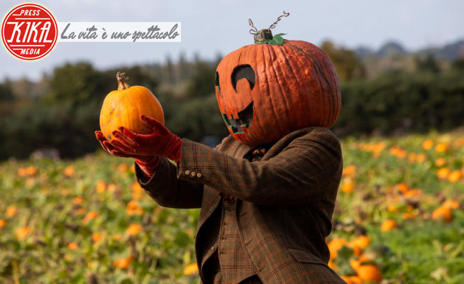 Halloween - Regno Unito - 29-09-2023 - Siete pronti per Halloween? Si raccolgono le zucche!
