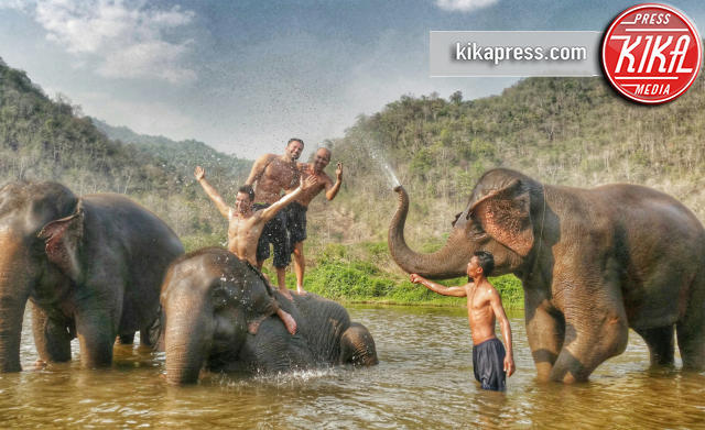 Elefanti, Thailandia - 24-03-2016 - Thailandia: un luogo dove natura, animali ed umani si fondono
