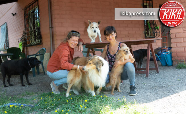 Baffi d'Argento, Daniela Salvi, Clara - Roma - 19-06-2019 - Baffi d'Argento: la prima casa di riposo per cani orfani